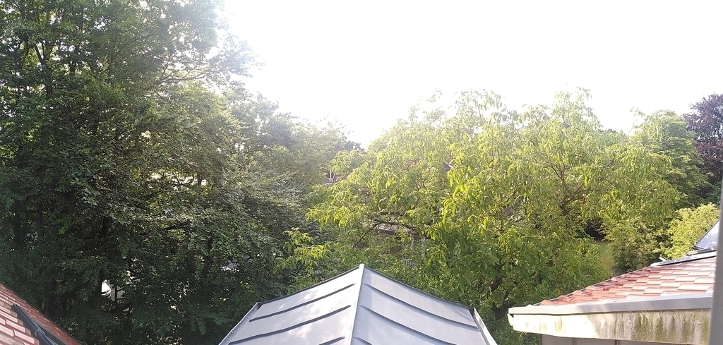 the view from the other side of the  guest apartment : lots of green in the summer !