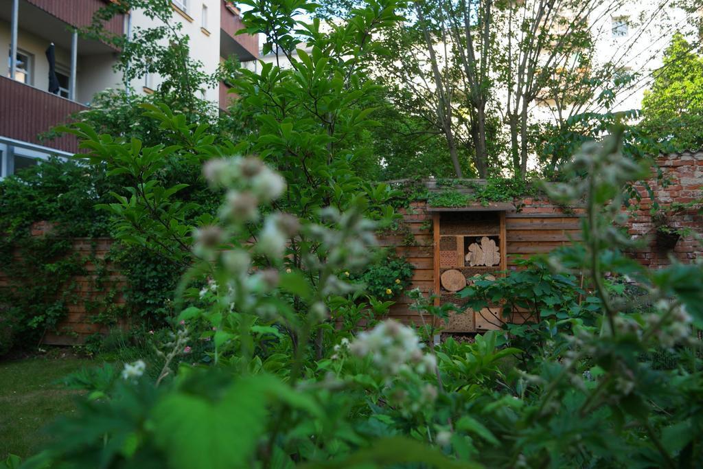 Back yard now - in our insect hotel no room is free