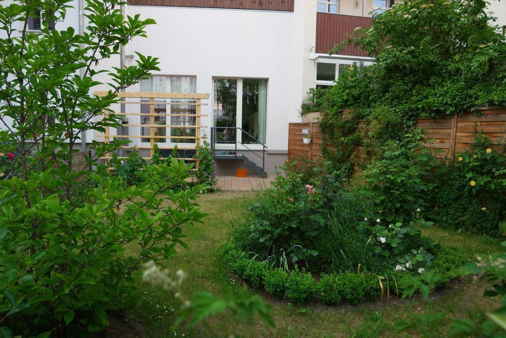 Back yard now - a green island in the city