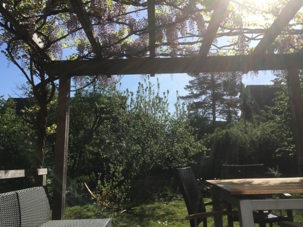 back garden from terrace