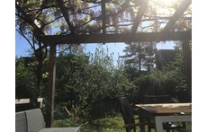 back garden from terrace