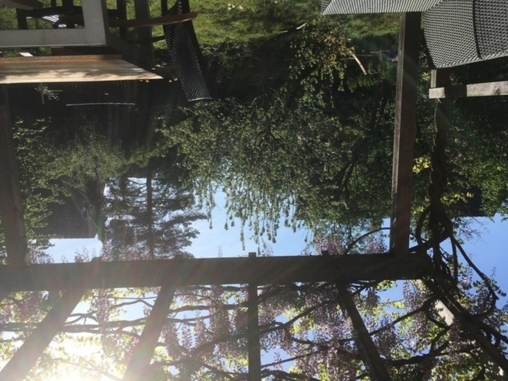 back garden from terrace