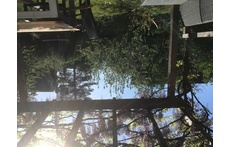 back garden from terrace