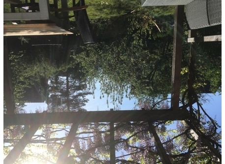 back garden from terrace