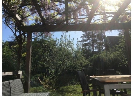 back garden from terrace