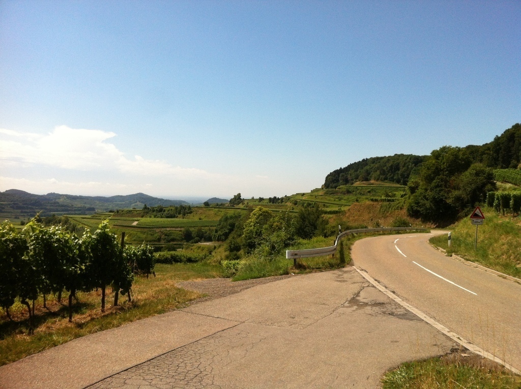 famous wine growing region "Kaiserstuhl" (for the initiated cyclists: this is "Texaspass")