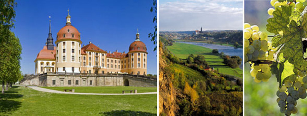 Castle Moritzburg (15km)