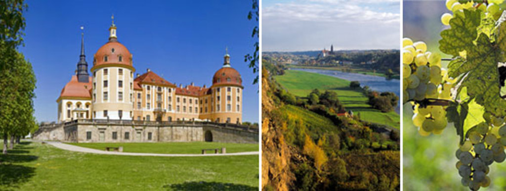 Castle Moritzburg (15km)