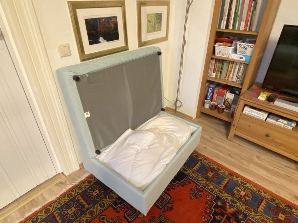 in the living room there is a sofa bed with all sleeping equipment, winter and summer blankets, sheets, pillows. 