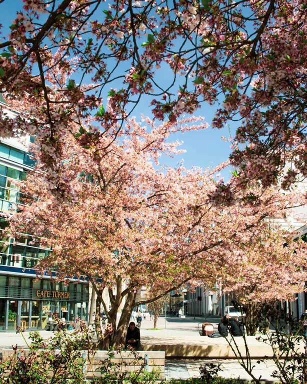 the center of Chemnitz, 26 minutes on foot, 2 km from our house, 5 minutes by bus.