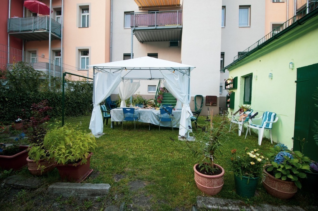 the garden, pictures from the back.