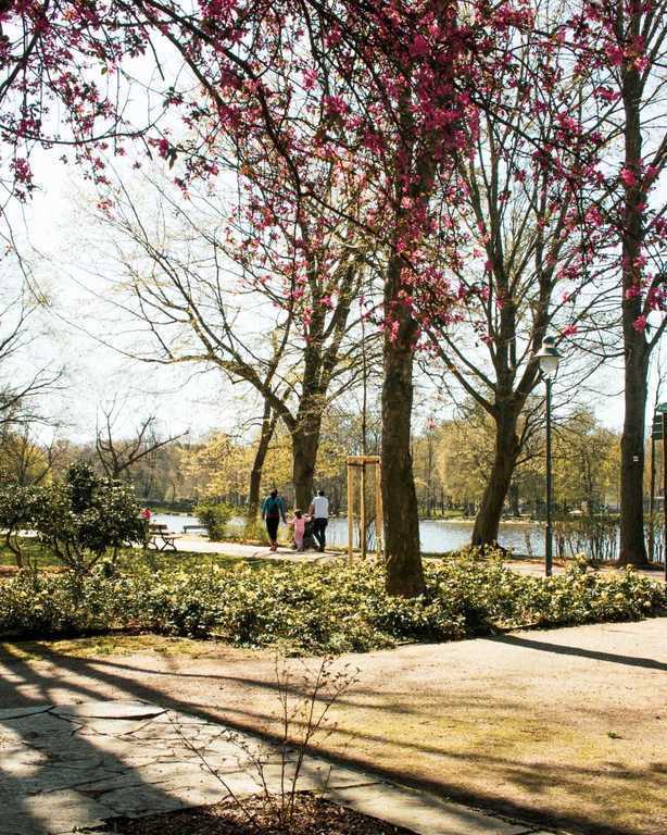 Lake Chemnitz, 12 minutes on foot, 1 km from our house, a few minutes by bus.
