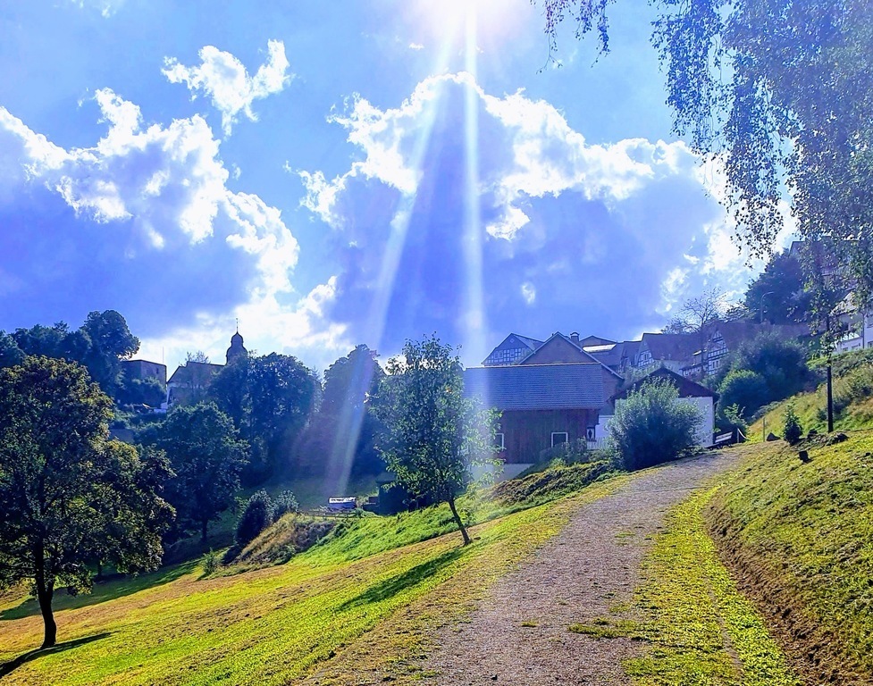 In the Kurpark just nearby our house