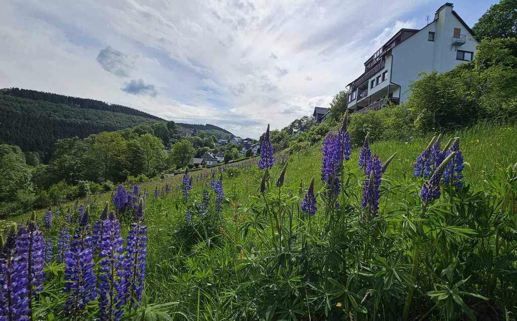 In the spring, right in front of our apartment