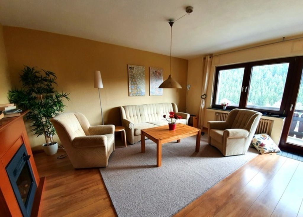 Livingroom with acces to the balcony