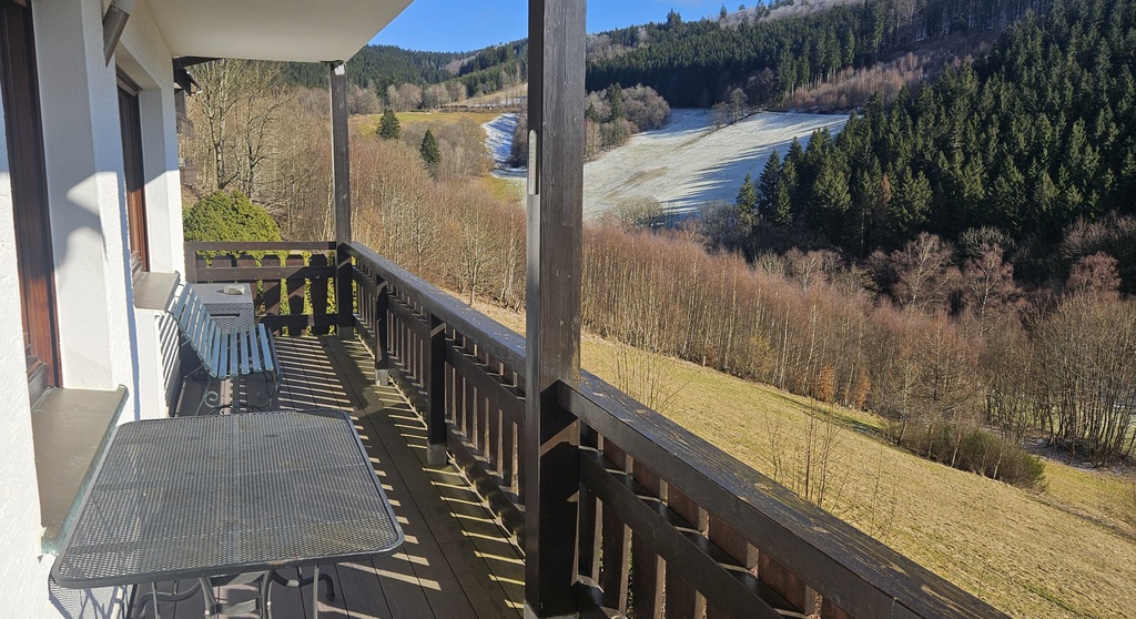 View from the balcony