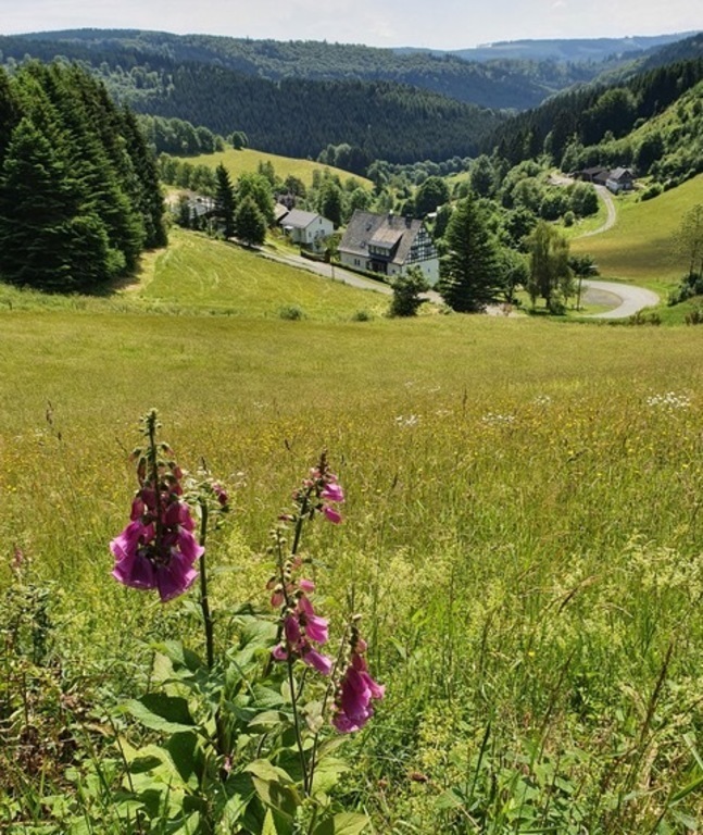 In the immediate vicinity