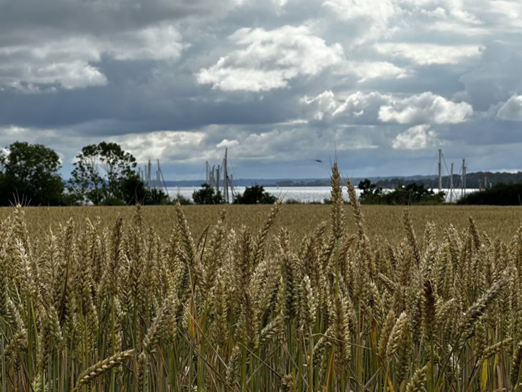 Auf dem Weg zum Hafen Marina Minde