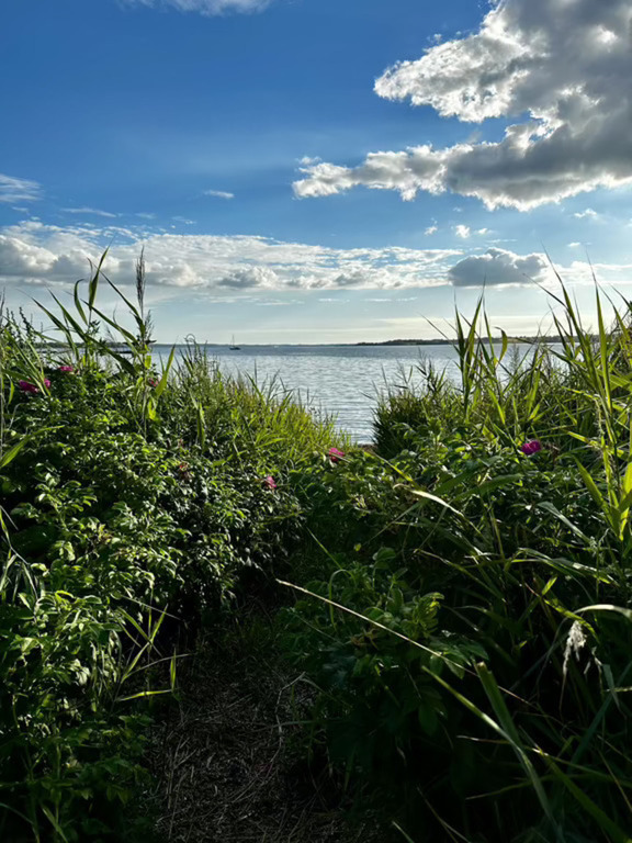 Spaziergang in unmittelbarer Nähe am Wasser