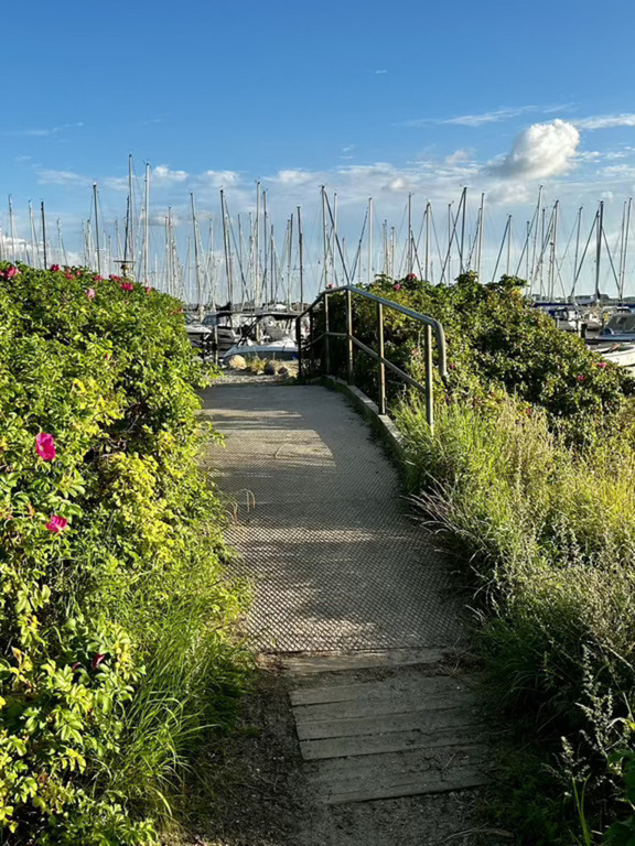 Spaziergang bei Marina Minde