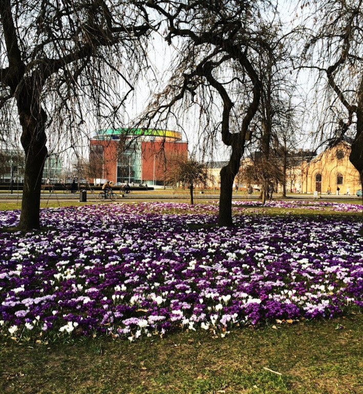 La Musée d'Art et l'Hôtel de Ville au printemps
