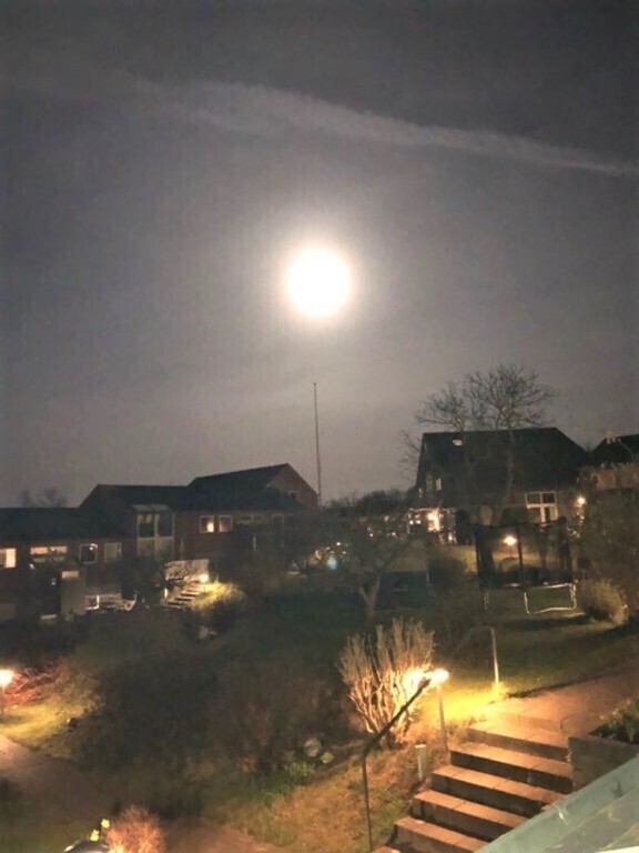 Notre communauté au clair de la lune 