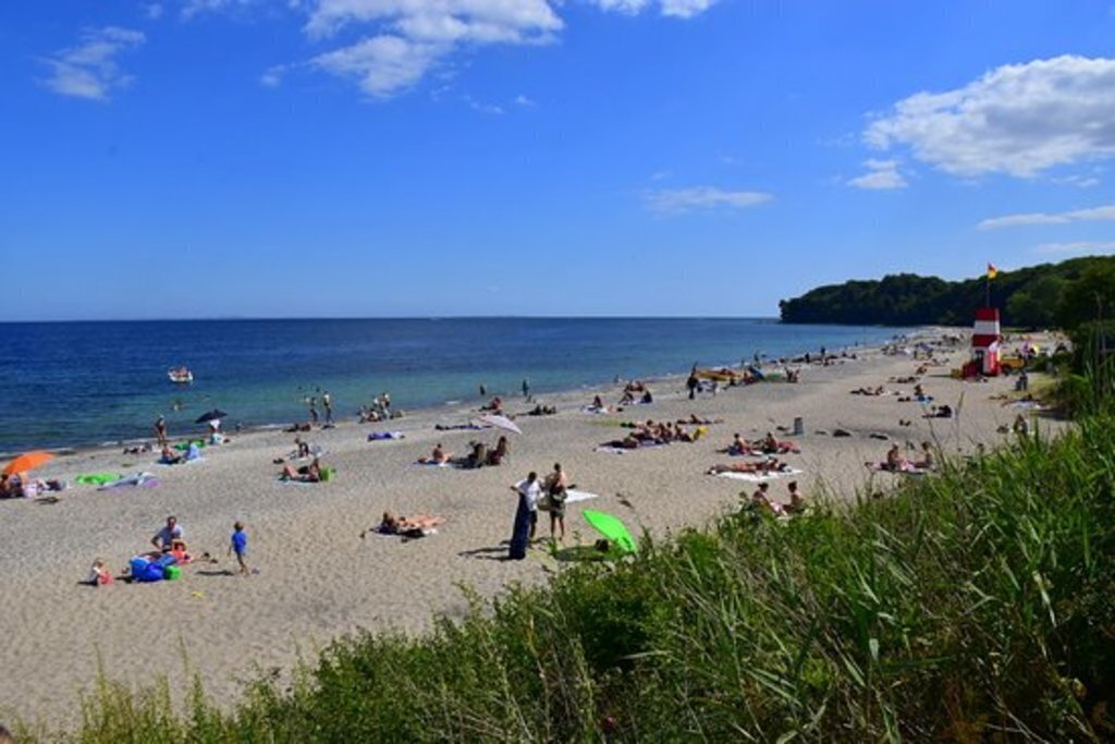 la plage dans la forêt  de 'Moesgaard'