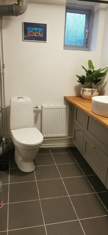 Toilet i kælder
