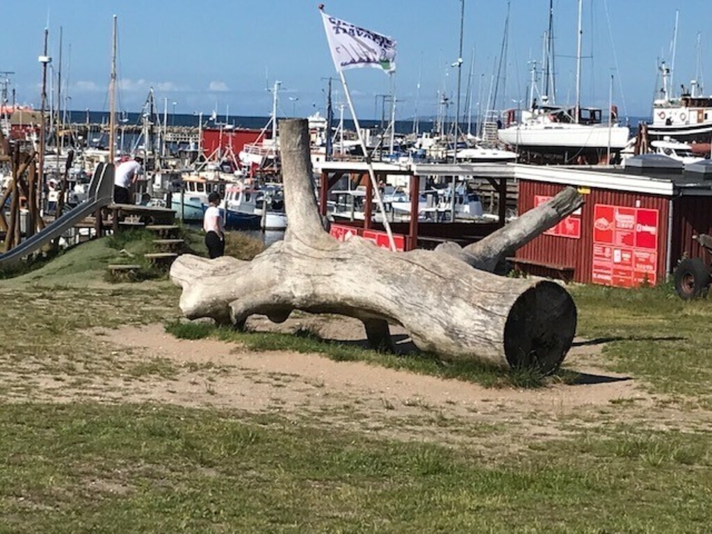 A popular playground at the harbour