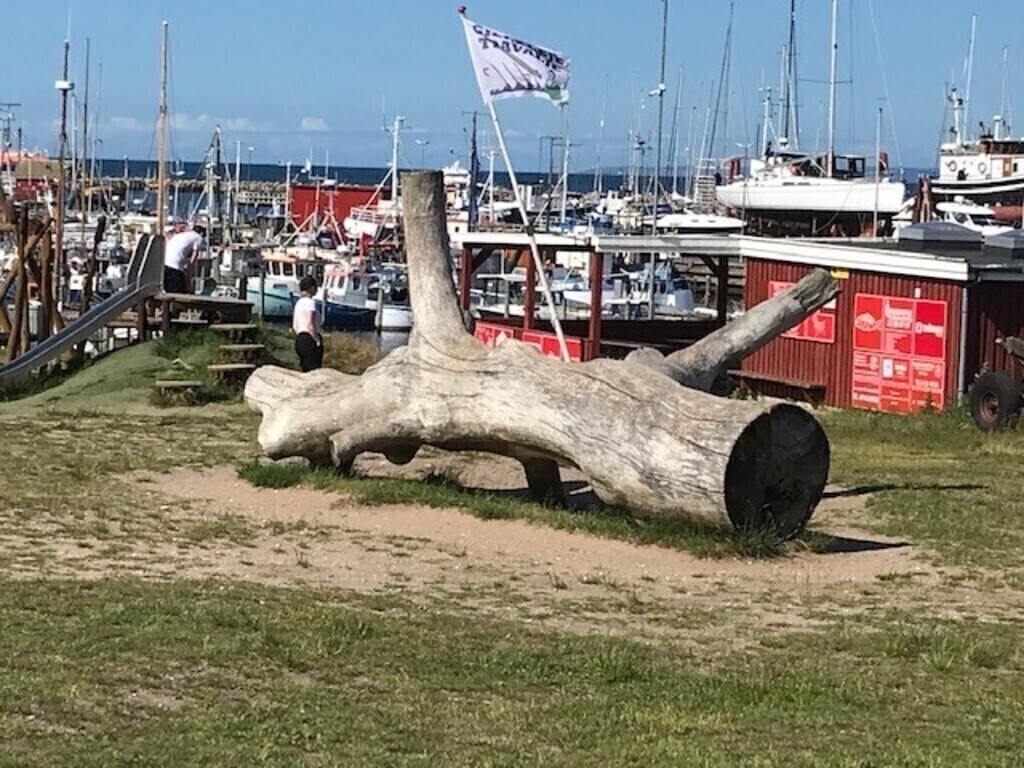 A popular playground at the harbour