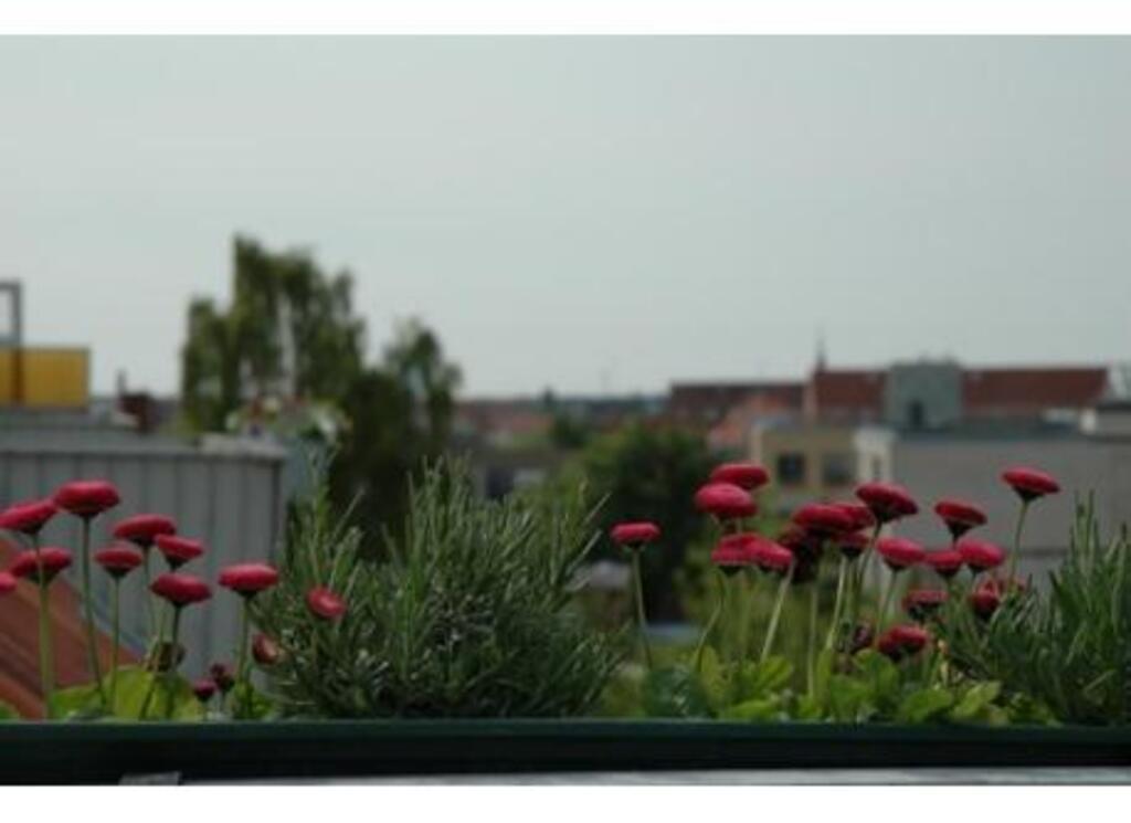 View from the balcony