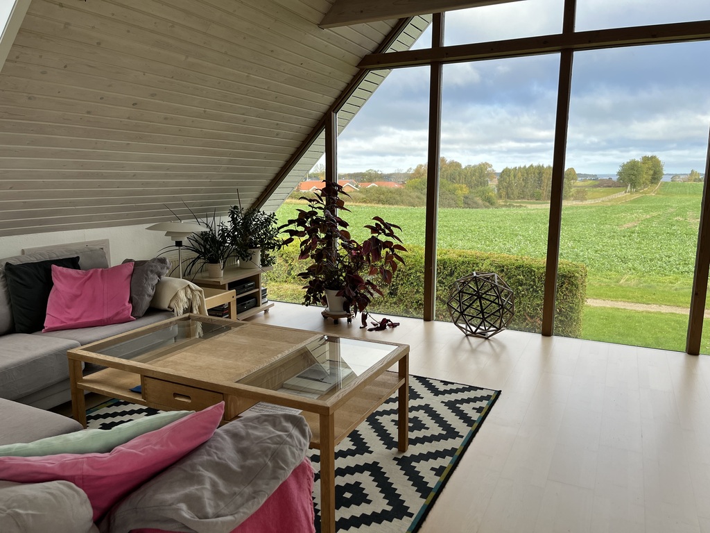 Livingroom 1.st floor