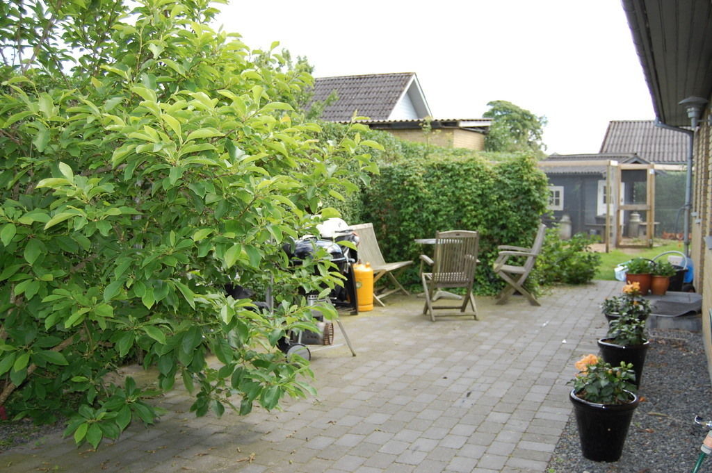 The back terrasse.