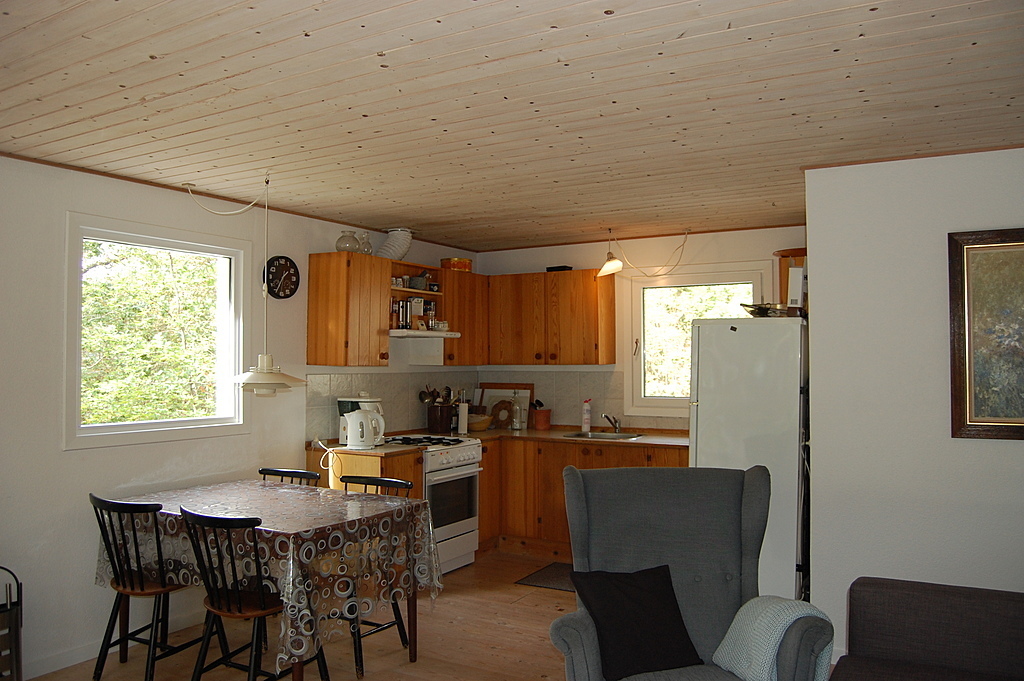 Summer cottage - the livingroom and kitchen