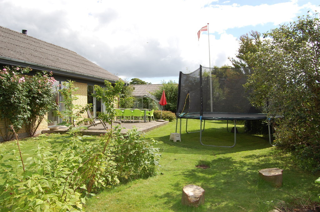 Our garden and trampolin
