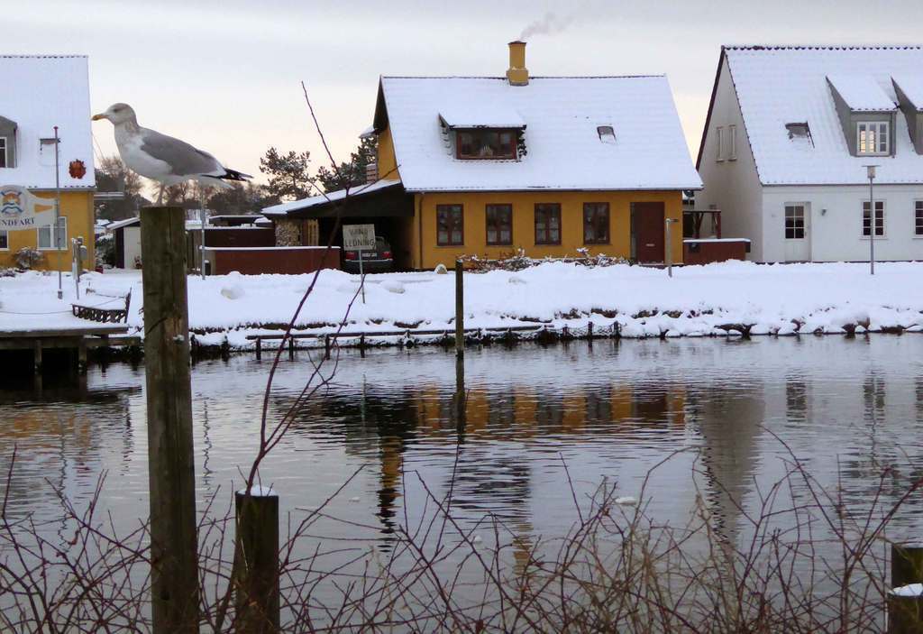 House in winter