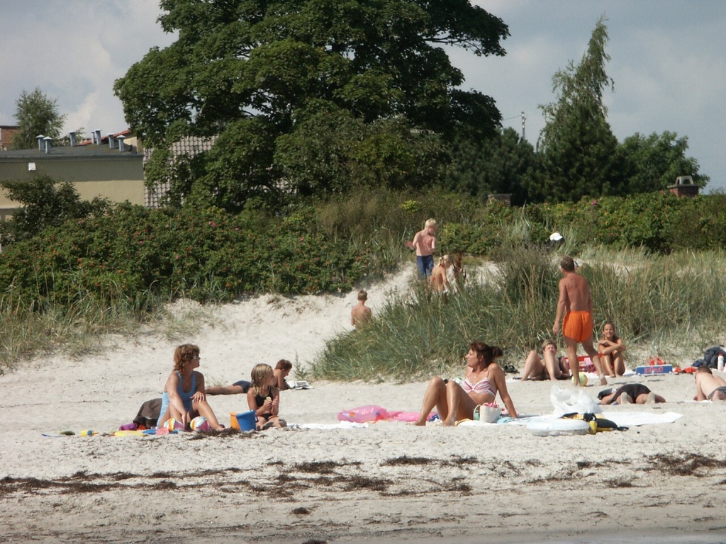 Greve strand (beach)