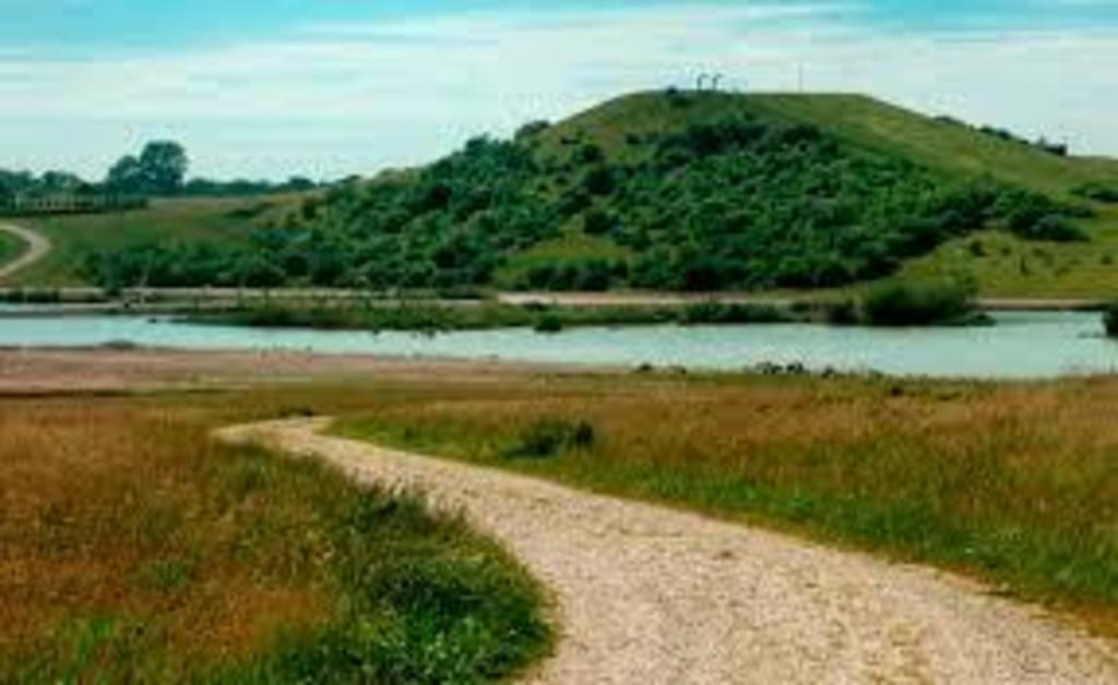 A walk in Hedeland (5 min by car/ 20 min bike): https://www.hedeland.dk)