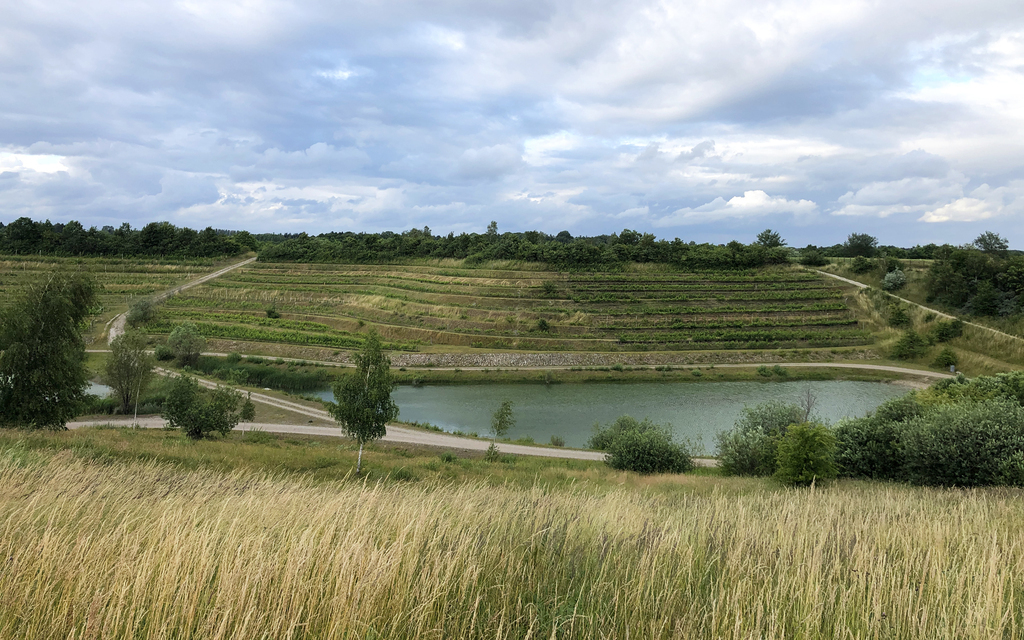 A walk in Hedeland (5 min by car/ 20 min bike): https://www.hedeland.dk)