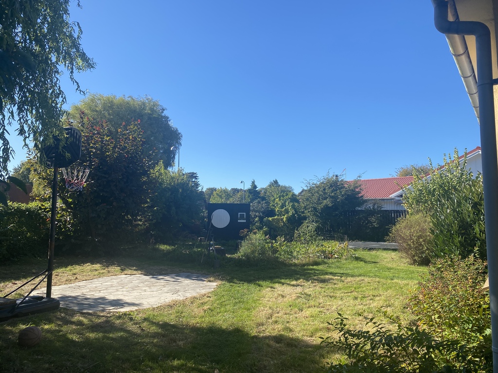 Our wild garden with basket court
