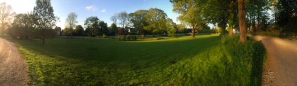 The village meadow with playground 