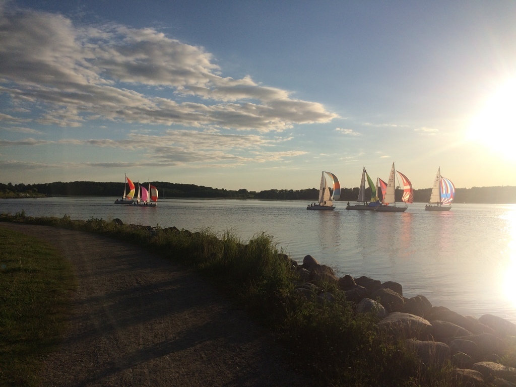 The Fjord - 100 m from the house