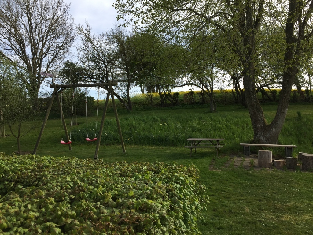 Swings, viewed from the kitchen door