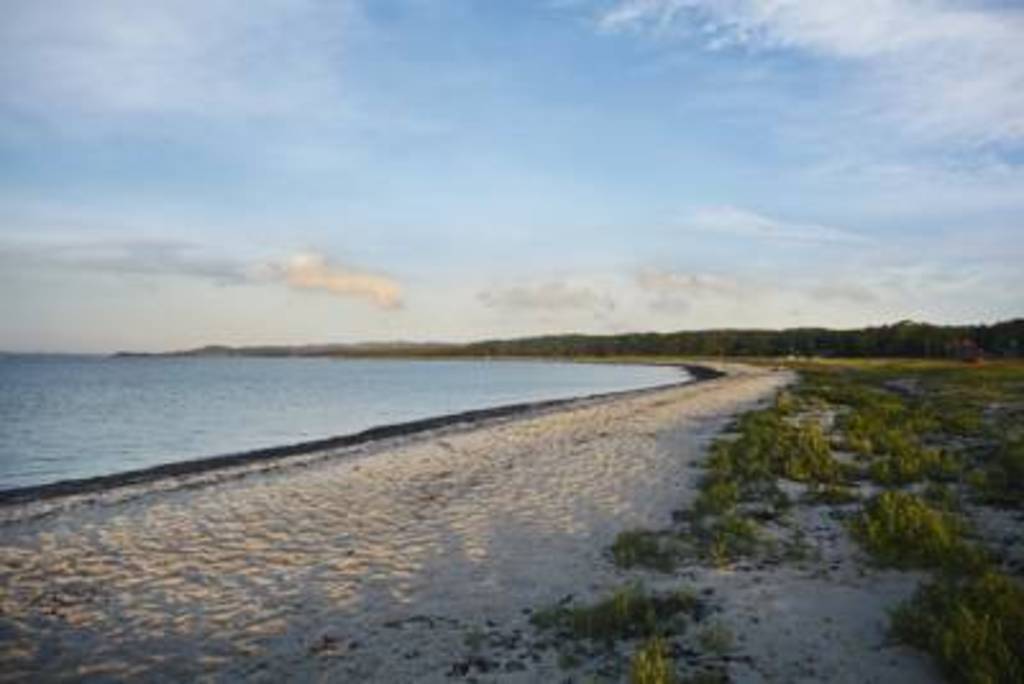Lyngsbæk Beach near Ebeltoft
