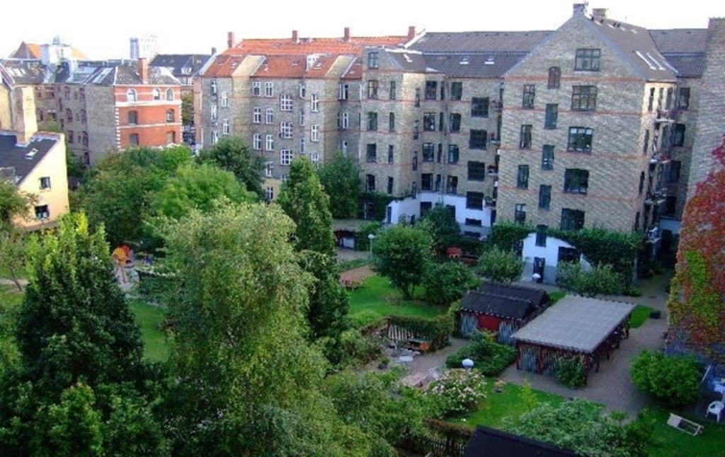 View to backyard from apartment