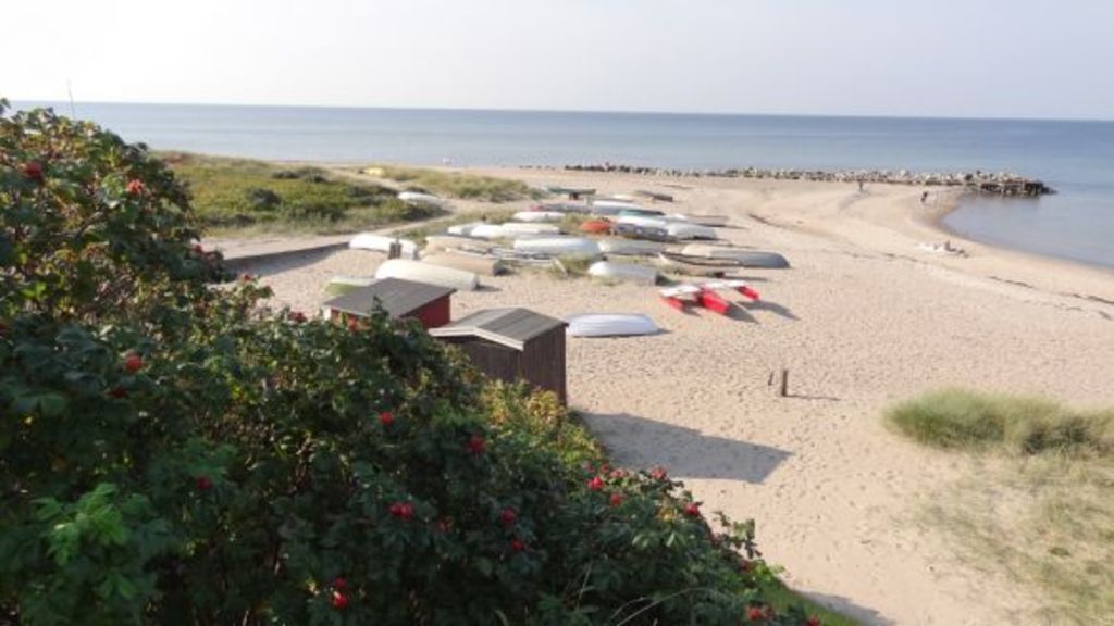 The beach at Tisvildeleje (30 min by car or train)
