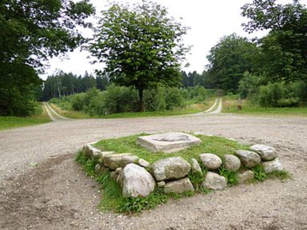 The forest - St. Dyrehave - 2 km away