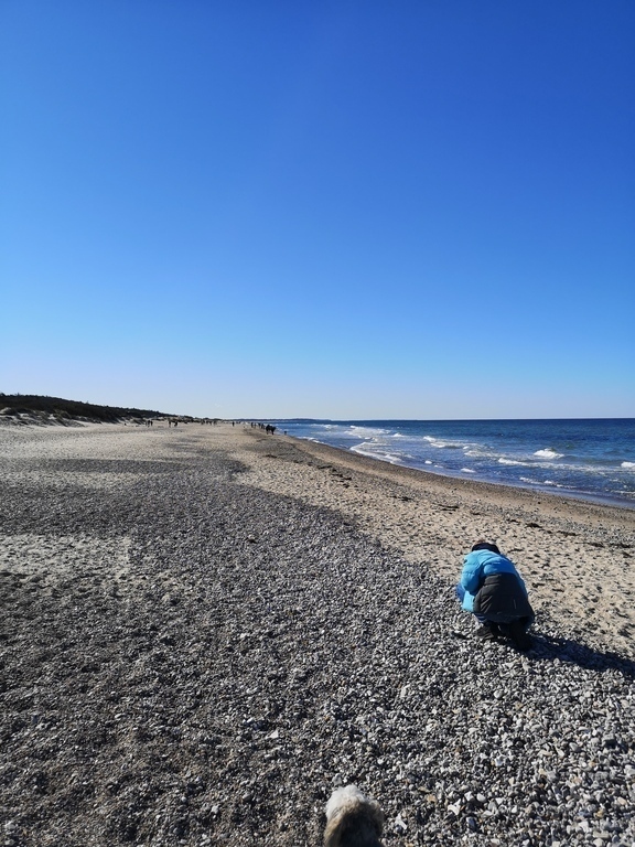 The beach at Tisvildeleje in the Winter (30 min by car or train)