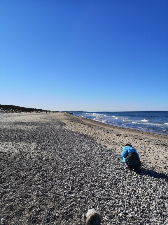 The beach at Tisvildeleje in the Winter (30 min by car or train)