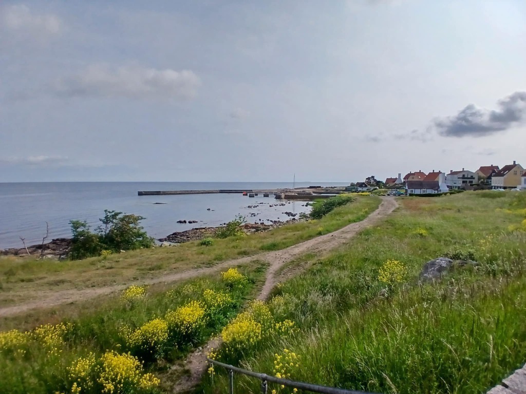 Enjoy a swim, jump from the Pier, have a coffee, a drink, dance silent disco or just watch the sun set at Norresan Harbour.